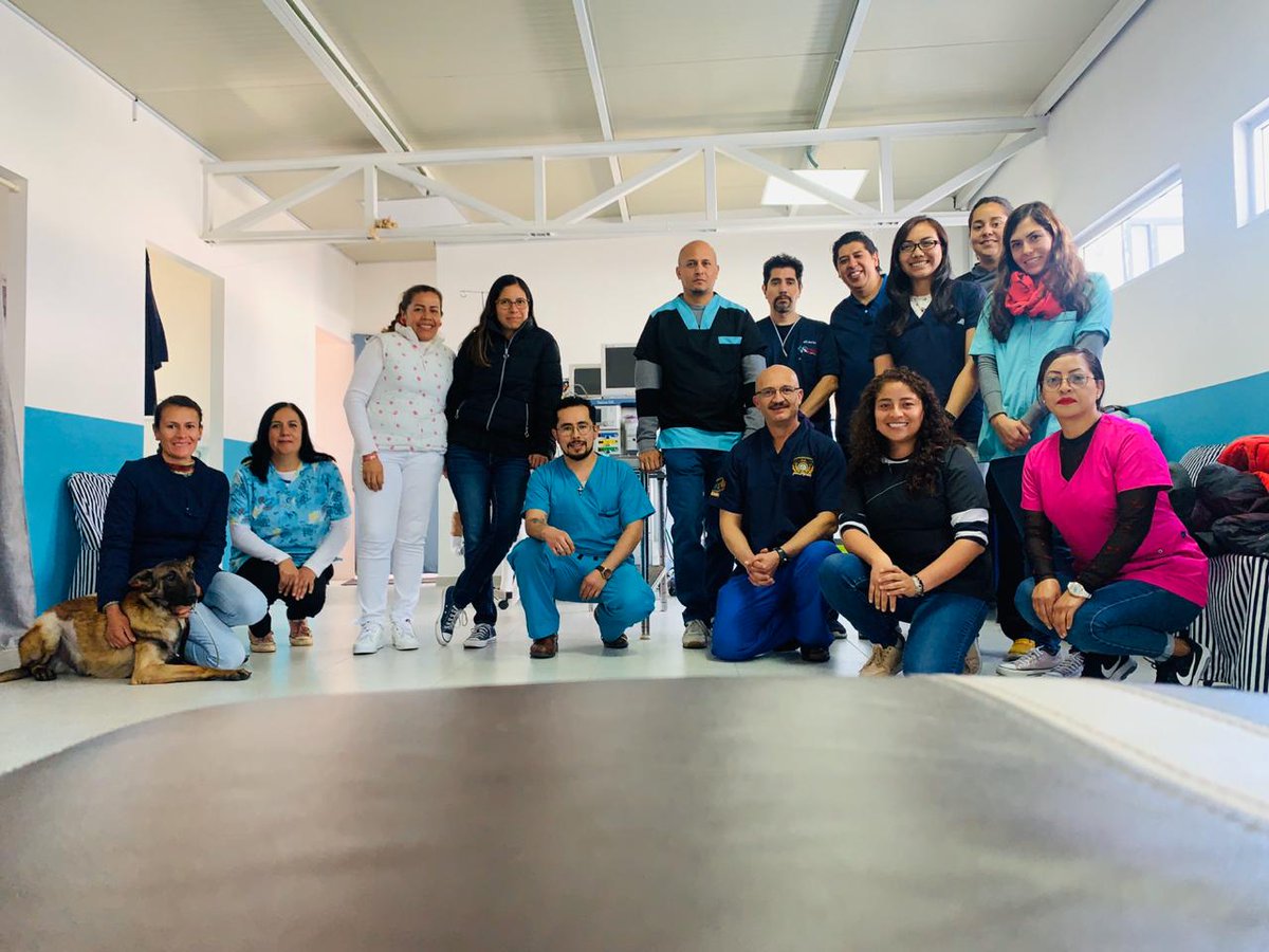 cmaavet's tweet photo. Clase practica, Curso de Anestesia y Analgesia CDMX Felicitaciones Grupo 1 #veterinarioscomprometidos #veterinaria #vet #compromiso#veterinario https://t.co/gwcdZpP5f0