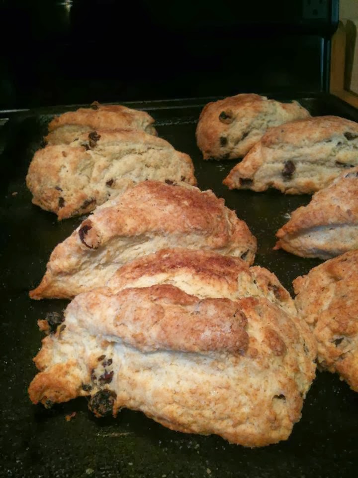 Foodisima's tweet image. Foodisima’s Favorite Raisin Scones #scones #teatime #baking #easybaking ow.ly/O9BG50y8qiG