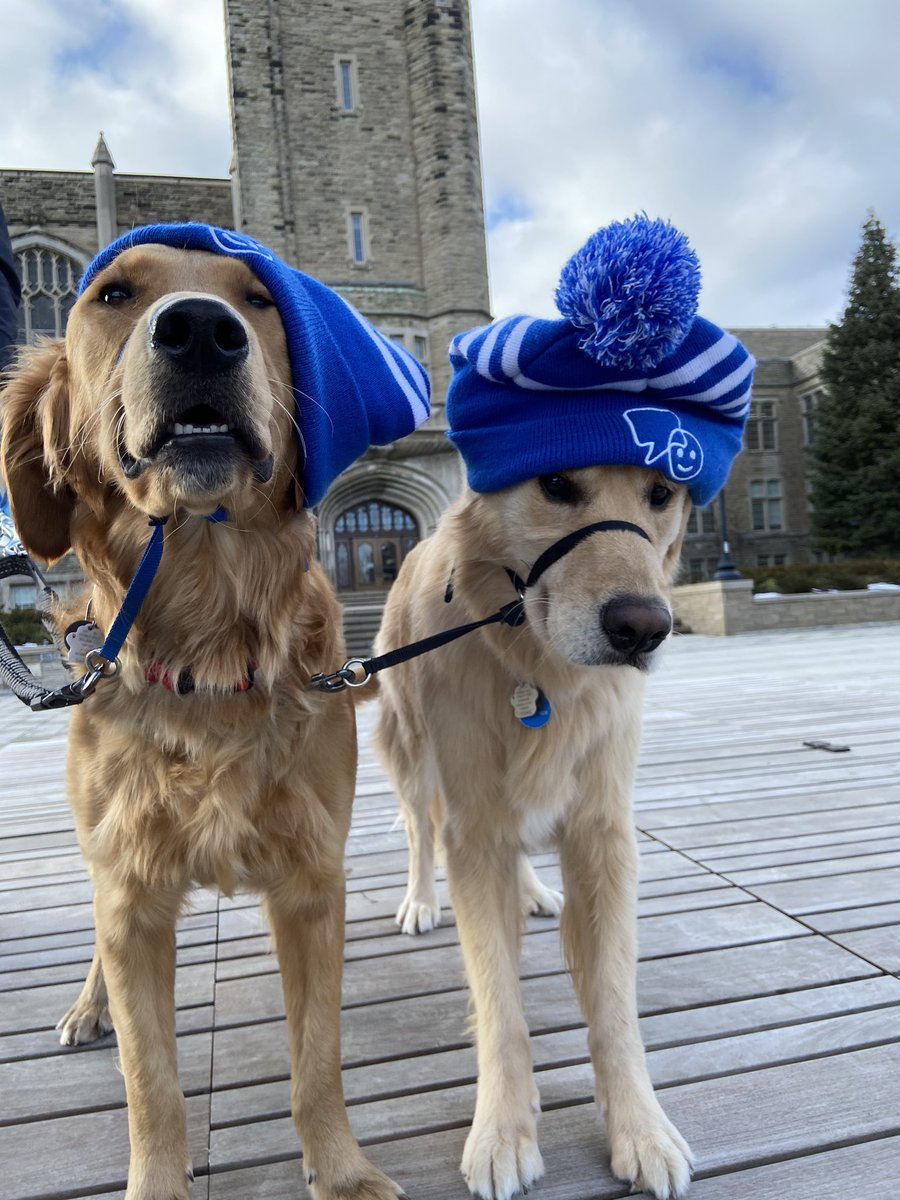 George &amp; Fred get it that sometimes things might get a little ruff, but they are always ready to give a paw #BellLetsTalk <a href="/WesternU/">Western University</a>