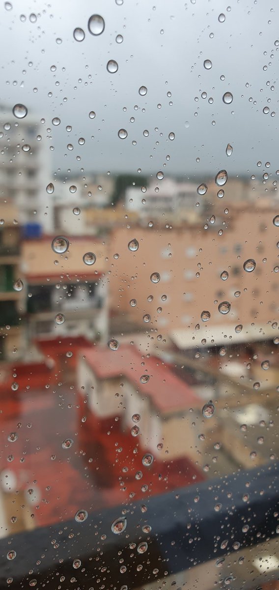 Marita_Mia's tweet photo. Capturé este momento en el tiempo💙🌧☔
https://t.co/ypFYNduwTk
📷 #ByMíaSoare #InMallorca #NoFilterNeeded #TheBeautyOfNature #LeftMeSpeechless #Raindrops #ItsRaining #ViewFromTheEighthFloor #FromMyWindow https://t.co/FfSLr3qyLX