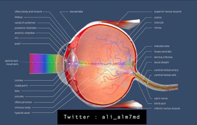 Tweet media three