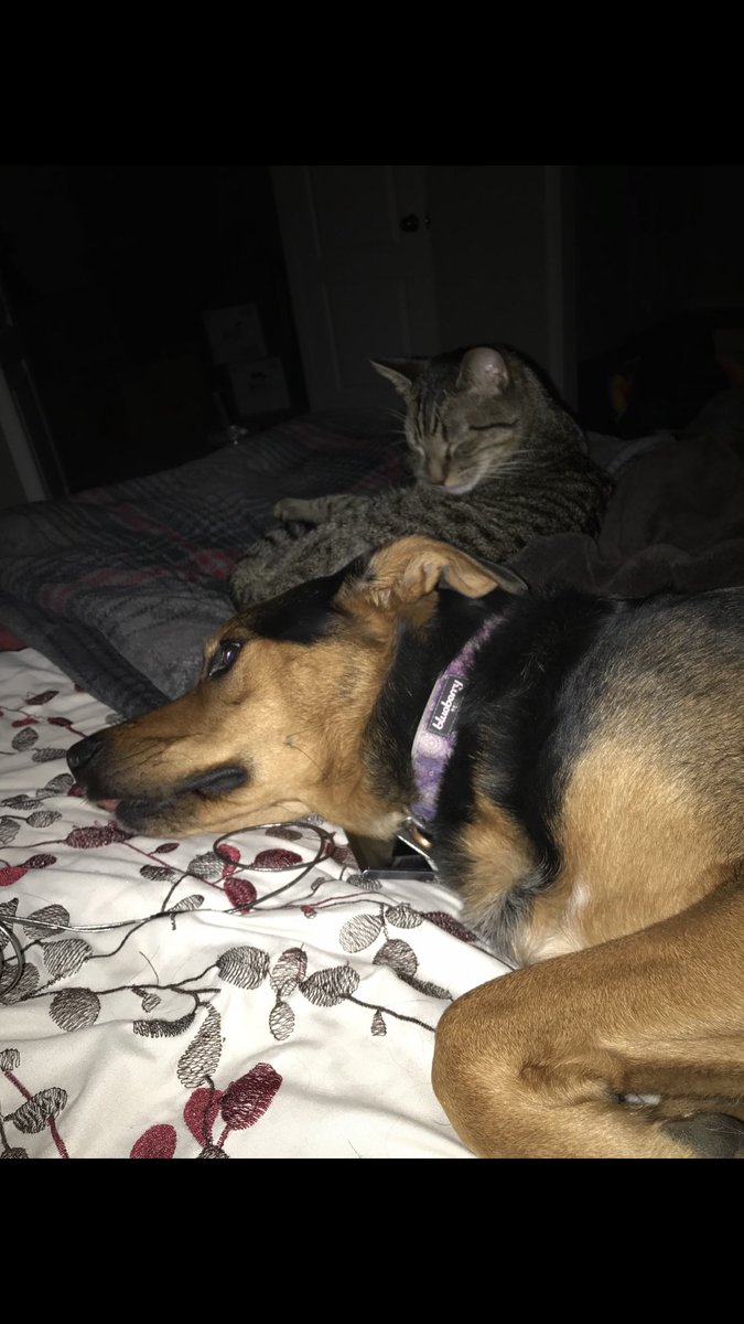 james mackey tweet media