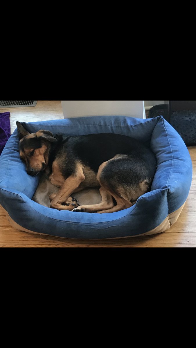 james mackey tweet media