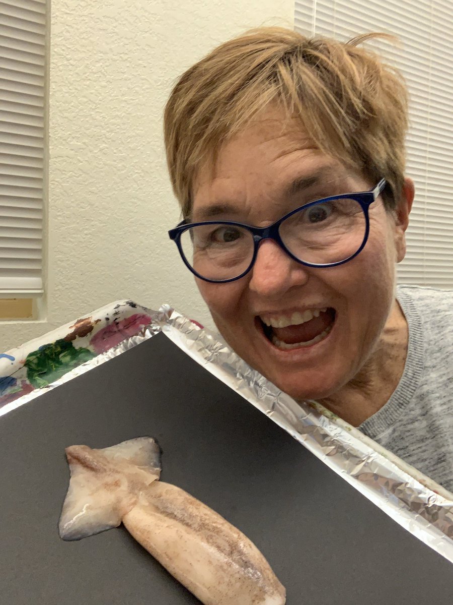 patdozcan's tweet photo. No squids do not have lips! They do have 3 hearts and ink, I now know first hand! @verobeachelem   #pd https://t.co/bH1iH4Walh