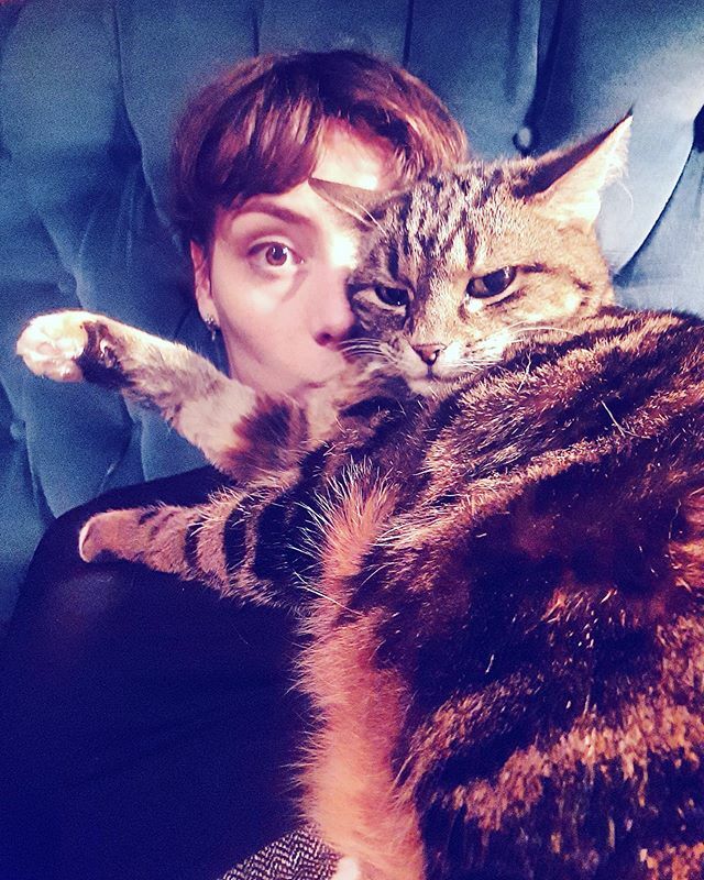 Yo, whazzup y'all?😎
•
•
•
#catsofinstagram #findus #whazzup #katopmnbek #misspoes #cats #cattitude #joe instagram.com/p/B76qZHfFS7R/