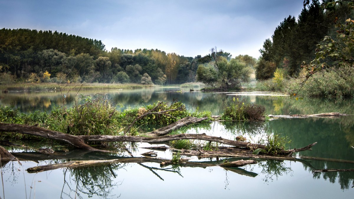 royalsociety's tweet photo. Our latest blog 'Ecosystems at the front line of climate change' by guest Editors Professor @YMalhi and Professor Janet Franklin, tell us about how this issue came about, and why it is so important to be discussing at this time. https://t.co/fmPzcEoNqs #ClimateChange #RSBlog https://t.co/frGLAYy8P4