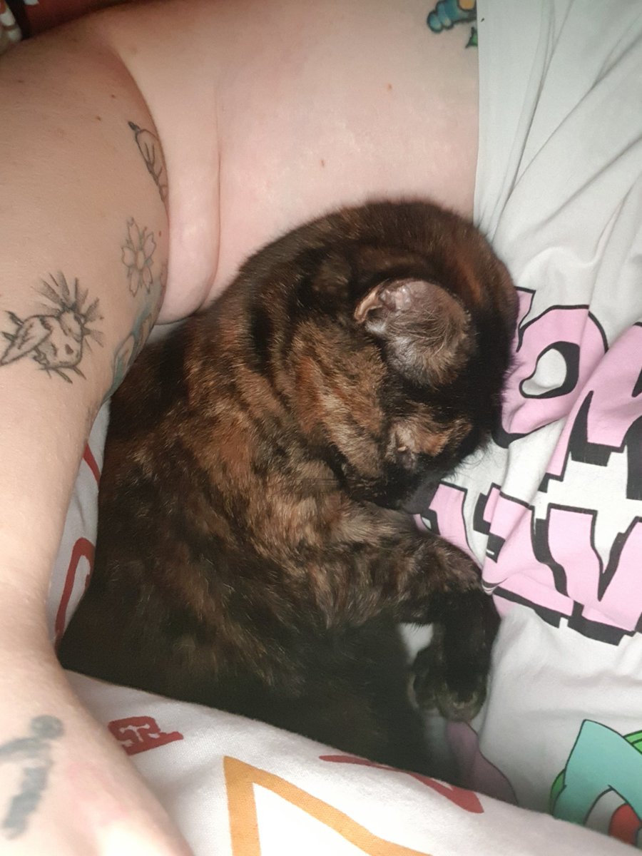 sidnell1990's tweet photo. @GoblinSmaragd Gypsy my little Madame! https://t.co/JG2g1FiLYt