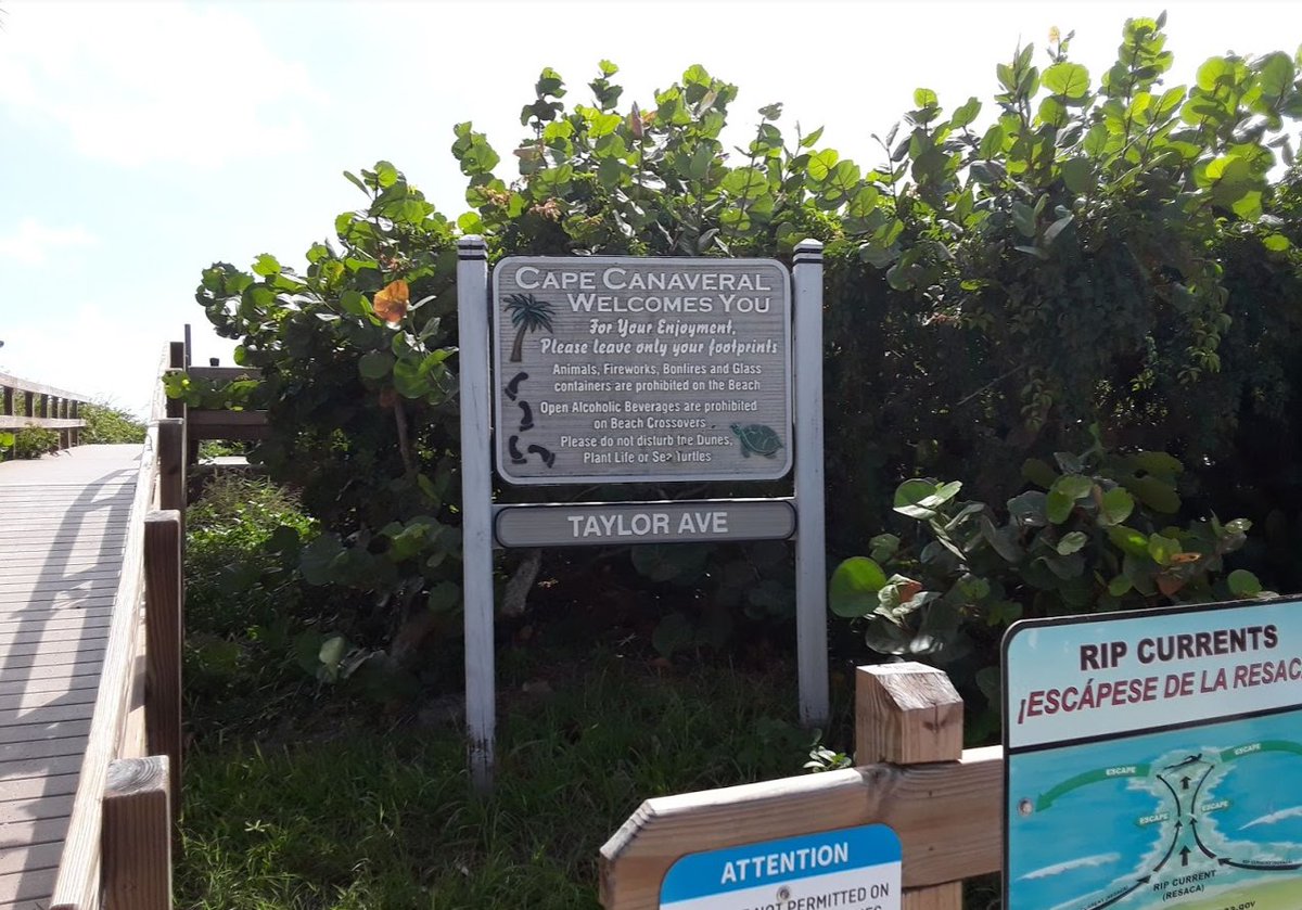 east_surf's tweet photo. Surf Fishing Cocoa Beach Cape Canaveral #FECSF #Florida #Eastcoast #Surffishing #Capecanaveral #Cocoabeach #Floridafishing #Fishing https://t.co/9LvKRG5Ll4 https://t.co/4bi7O2taKp