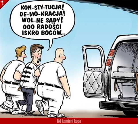 View image on Twitter