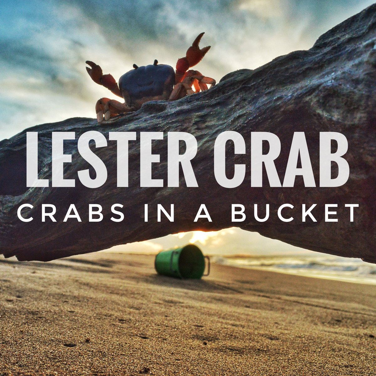 LesterCrab's tweet photo. #Crabsinabucket #rock #indie #indierock #AlternativeRock #indiemusic #indiealternative https://t.co/FHh1cNjiSd