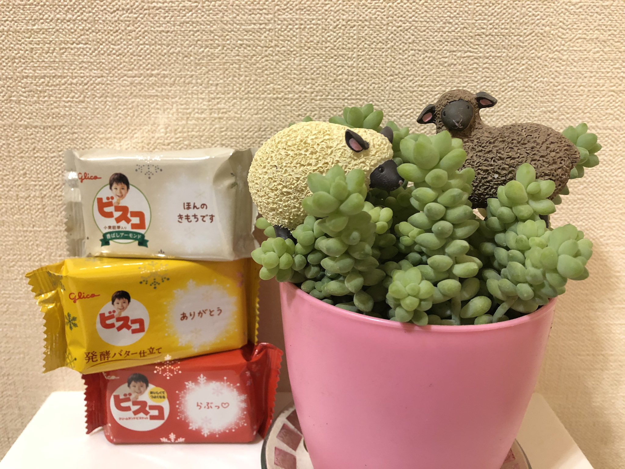 みどりのまきば Twitter Search Twitter