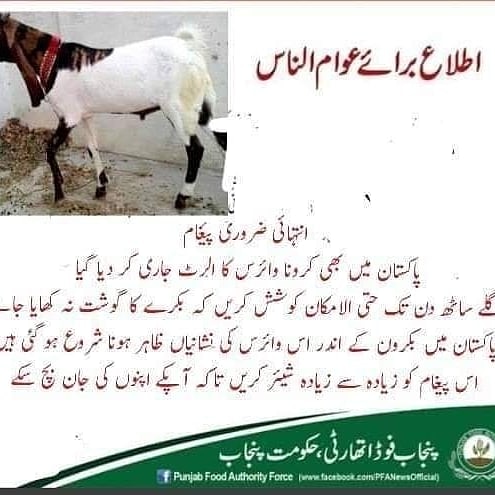 DirAwaz's tweet image. یہ سچ ہیں یاجھوٹ