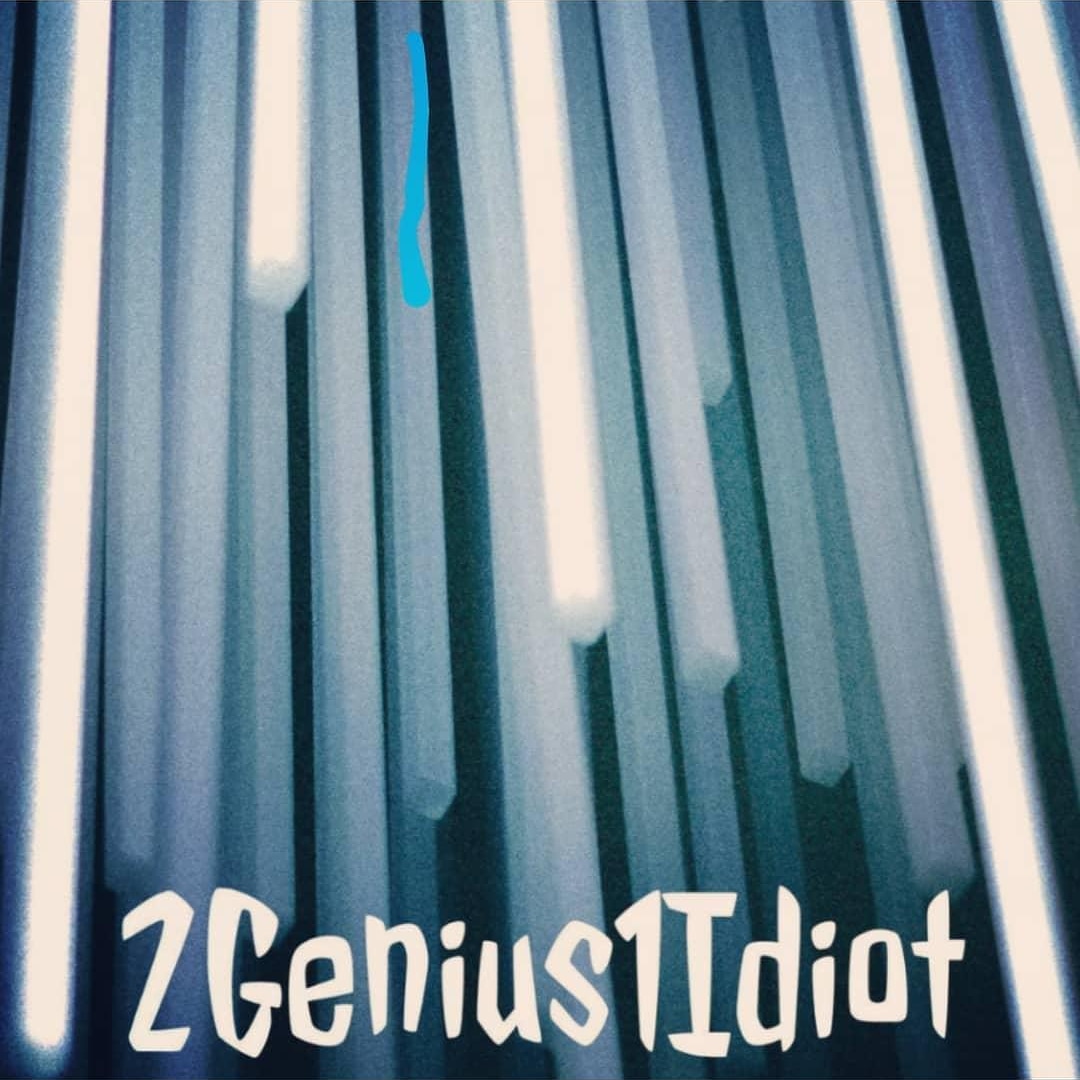 2Genius1Idiot's tweet photo. Our most recent episode is posted! Link in bio!  #2genius1idiot #podcast #Number1Bullshit https://t.co/NaRis4ad99