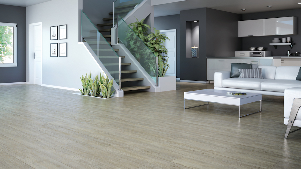 Republic Floor tweet media