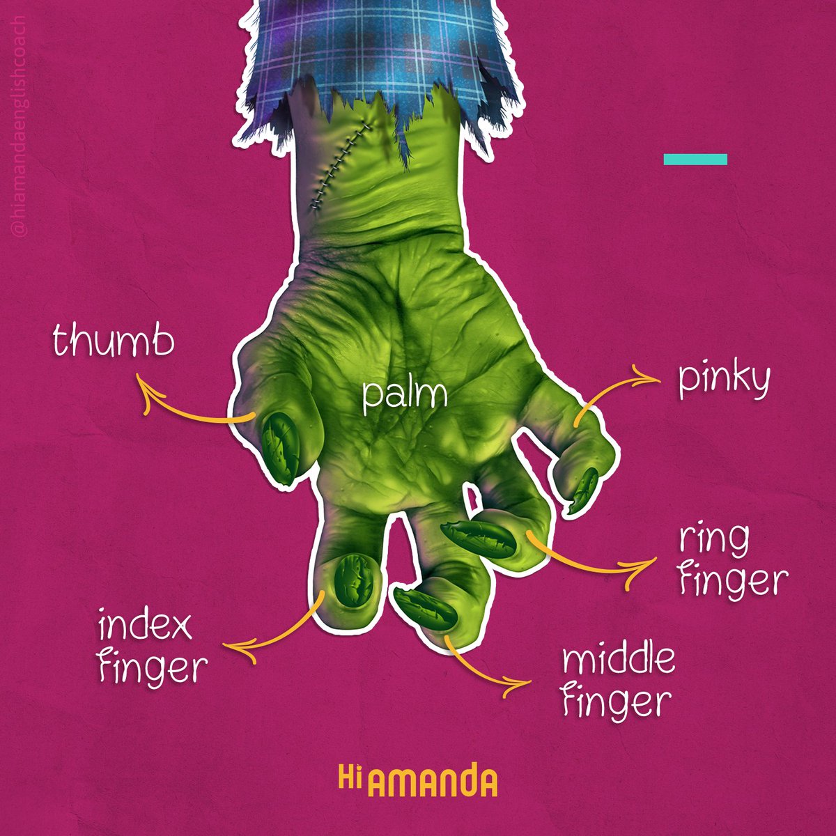 HiAmandaECoach's tweet photo. How many fingers do we (usually 😅) have? Do you know the name we give to each one? A little #englishvocabulary mini lesson for you guys this week! If you give it a LIKE 👍🏽❤ and leave your comment here I will reply with a “high five”!!! 😄🖐🏽 https://t.co/BG9gTZeHny