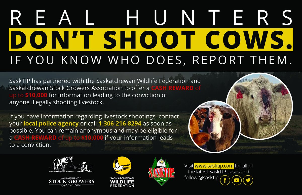 We have partnered with <a href="/Sasktip/">Sasktip</a> and the <a href="/SaskWildlife/">Sask Wildlife Fed.</a>  to offer a cash reward of up to $10,000 for info leading to the conviction of anyone illegally shooting livestock. If you have information regarding livestock shootings, contact your local police agency or call (306) 216-8294