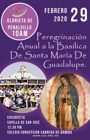 Colegio_CCA's tweet image. #PreescolarCCA #PrimariaCCA