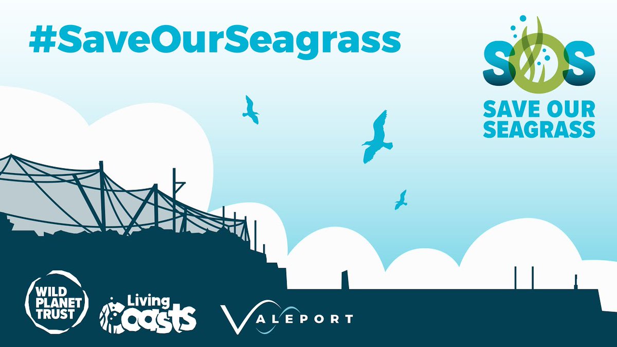 seawanderernet's tweet photo. Valeport has pledged its support to a campaign to protect the vital ‘underwater rainforest’ which is under threat off Tor Bay, on the SW coast of the UK
#ecology #underwater #rainforest #climatechange #Valeport #UK #TorBay @ValeportLtd
https://t.co/OimnfCalYi https://t.co/wfZSekFwvw