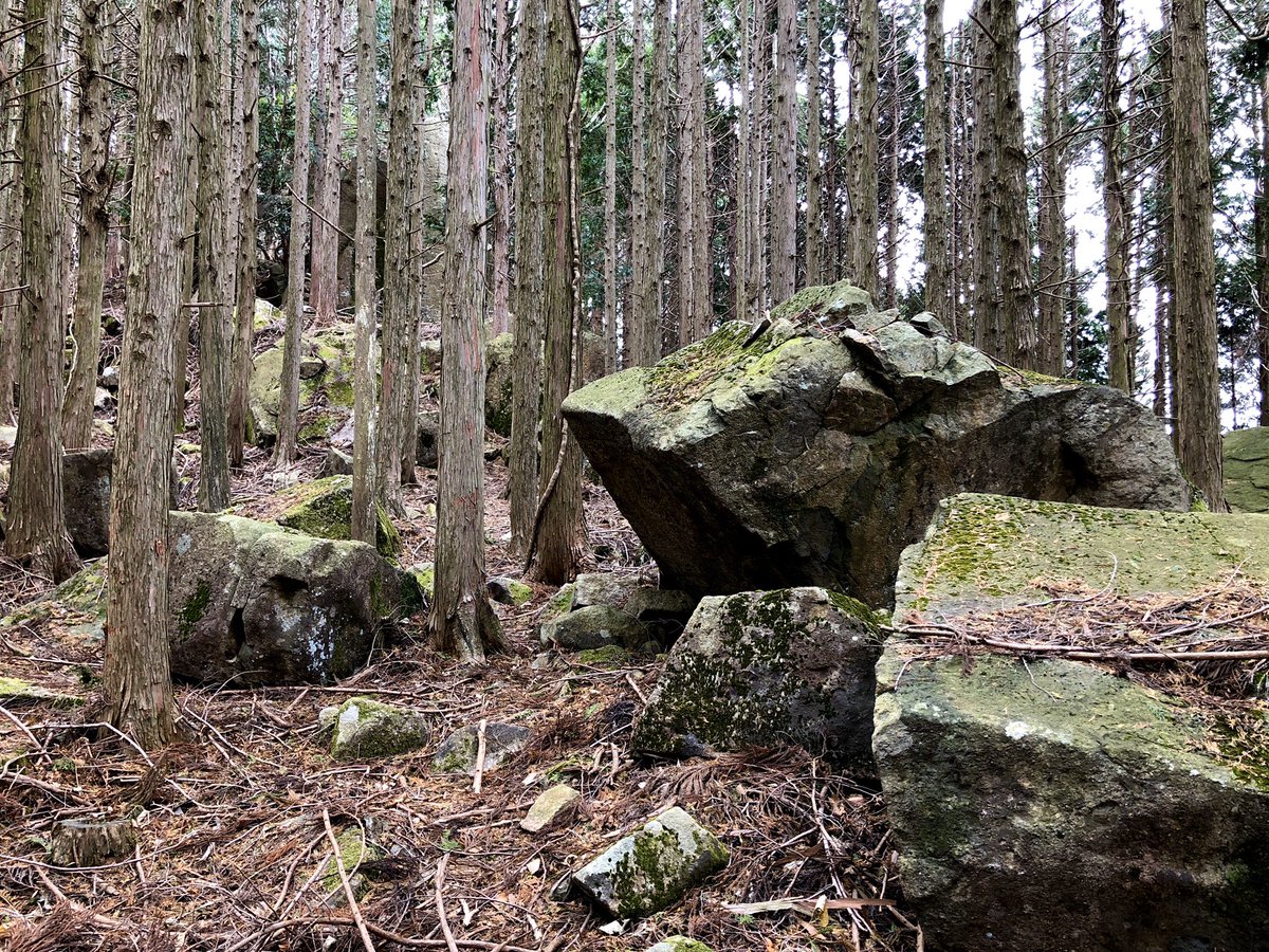 gyogyo_net's tweet photo. 竜王山へ向かう登山道(その6)
https://t.co/N1lMMN3Nn4
#日本 #japan #大阪府 #能勢町 #ハイキング #hiking #登山 #mountainclimbing #竜王山 #三草山 #登山道 #trail #岩 #奇岩 #rock #strangerock #forest #ヒノキ林 #山 #mountain #山の風景 #山の中 #森林 #森 https://t.co/Se5Ki4cHtW