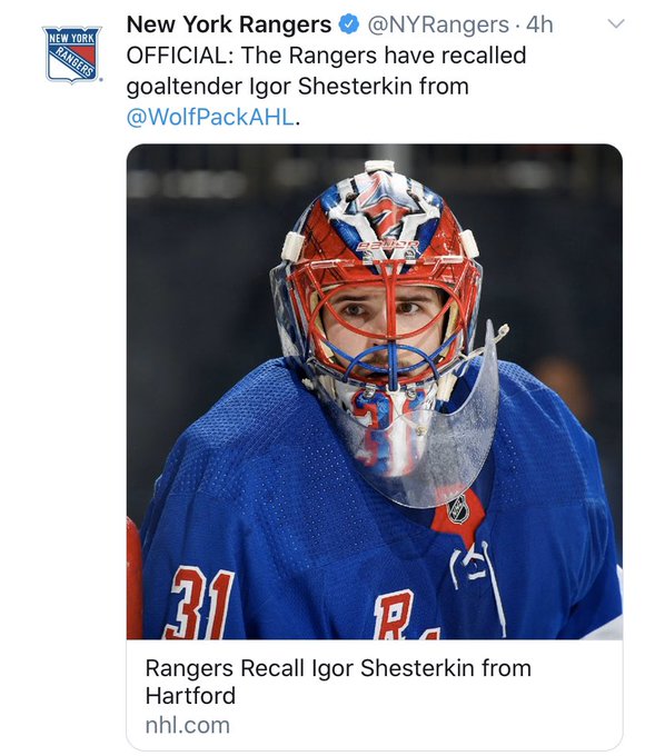 Igor Shesterkin Mask, Adult T-Shirt / Extra Large - NHL - Sports Fan Gear | breakingt
