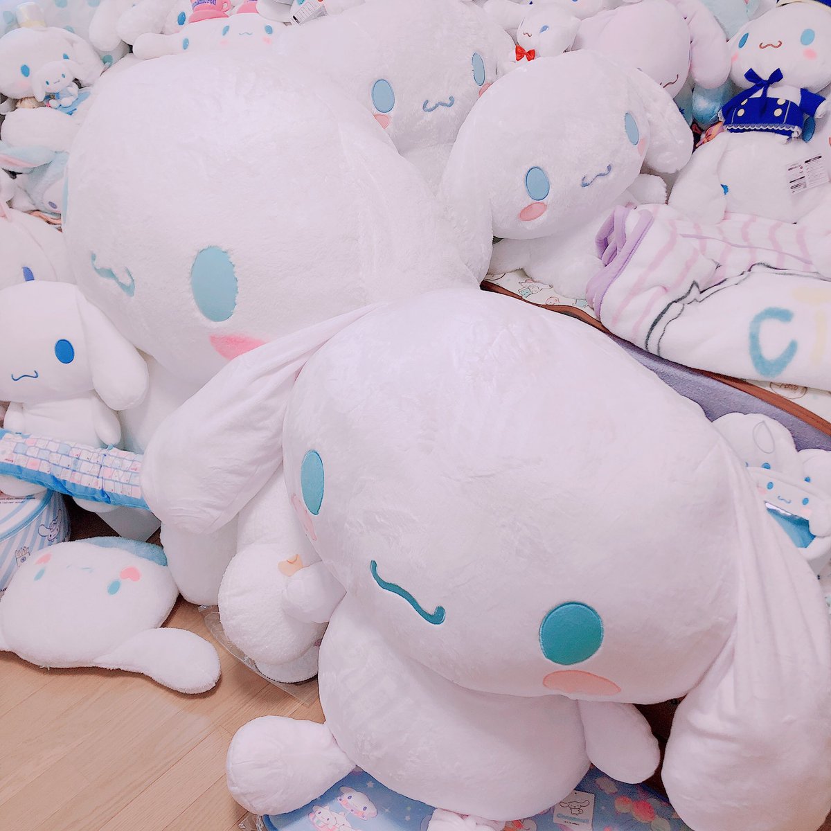 47餅 على تويتر いつだかに新宿で予約したむにゅの特大シナモンぬいぐるみでした イオン限定と比較してもデカい