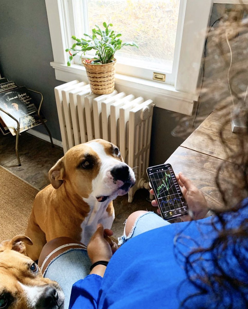 The boy and I waiting patiently for the market to open 
Looking forward to a prosperous week
#design #realestateinvestor #sold #realestatelife #business #realtors #openhouse