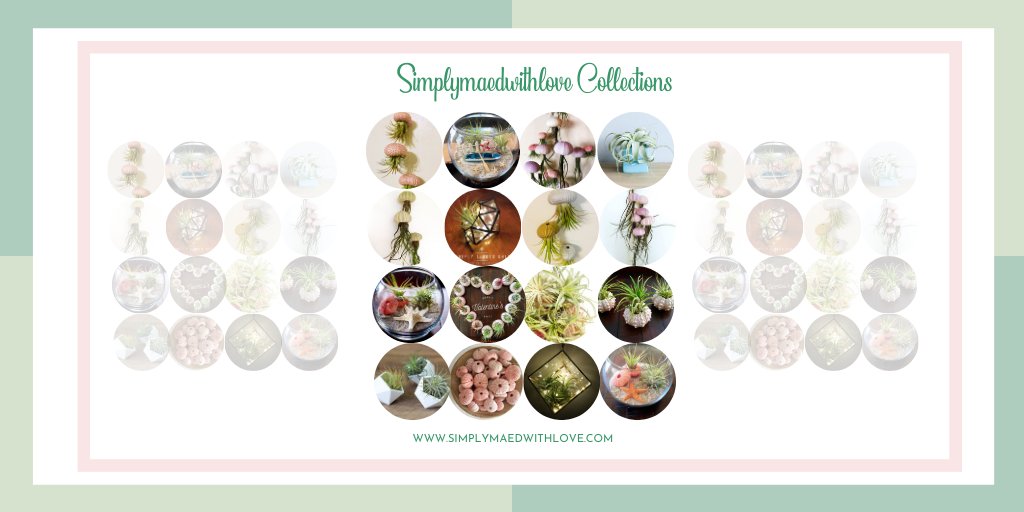 SimplyMAEdwLove's tweet photo. Hurry up and avail our Valentine's day promo and take note that the last day to order is on February 7th!

💕 15% OFF Savings || sign up &amp; receive the VIP discount: https://t.co/zsfBXtw5R6 💕
 
Be the new owner of simplymaedwithlove air plants. https://t.co/OGfYbr5bYS