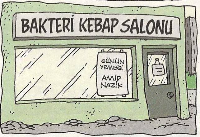 #LassaVirus ve dilenciler giremez