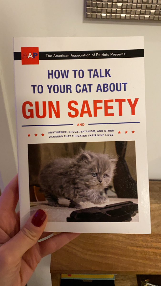 How To Talk To Your Cat About Gun Safety Reddit