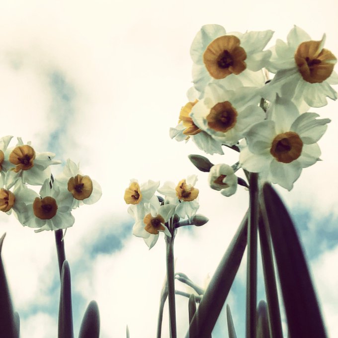 Yukimama2923さんのイラスト一覧