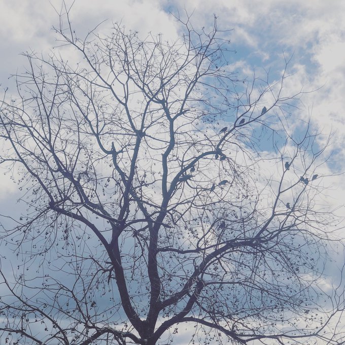 Yukimama2923さんのイラスト一覧