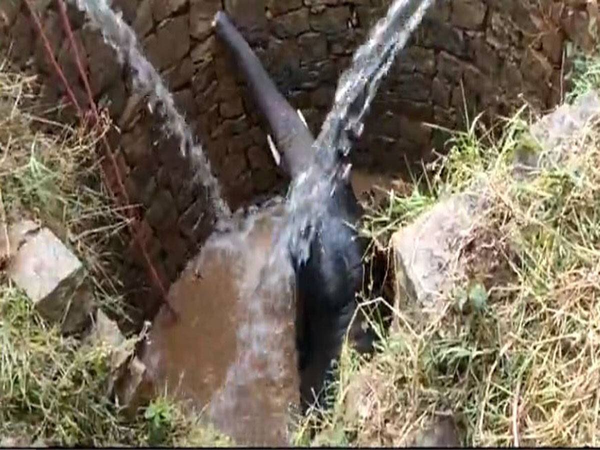 rameshpandeyifs's tweet image. Heartwarming pictures of how intelligently the team @dfogumla and villagers using Archimedes’s physical law of buoyancy save an elephant calf who had fell in a well. They pumped water into well to float the elephant to surface. Great work. @Forest_Dept_GOJ