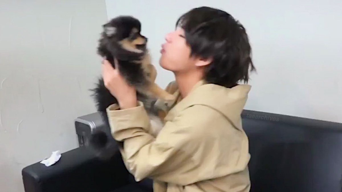 CHICLn_'s tweet photo. แม่ชอบดูหนูฟัดกับแทนนี่ จะเห้น ลูกแม่สุดน่ารักแน้มฟู อยากฟัดพุง ไอลูกแม่ https://t.co/MOWNPYRu3p