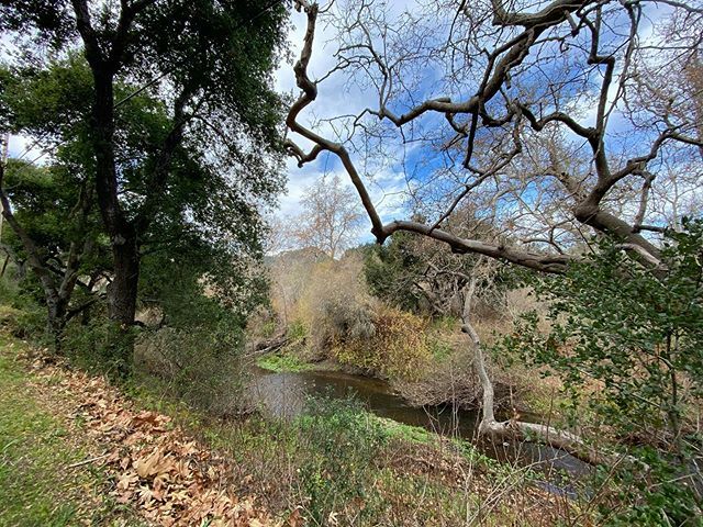 Happy Hump Day! Beautiful but windy lunch ride. #wattieinkhitsquad2020 #wattiehitsquad2020 #tri #triathlon #training #trilife #slo #sanluisobispo #centralcoast #cycling #halfironmantraining