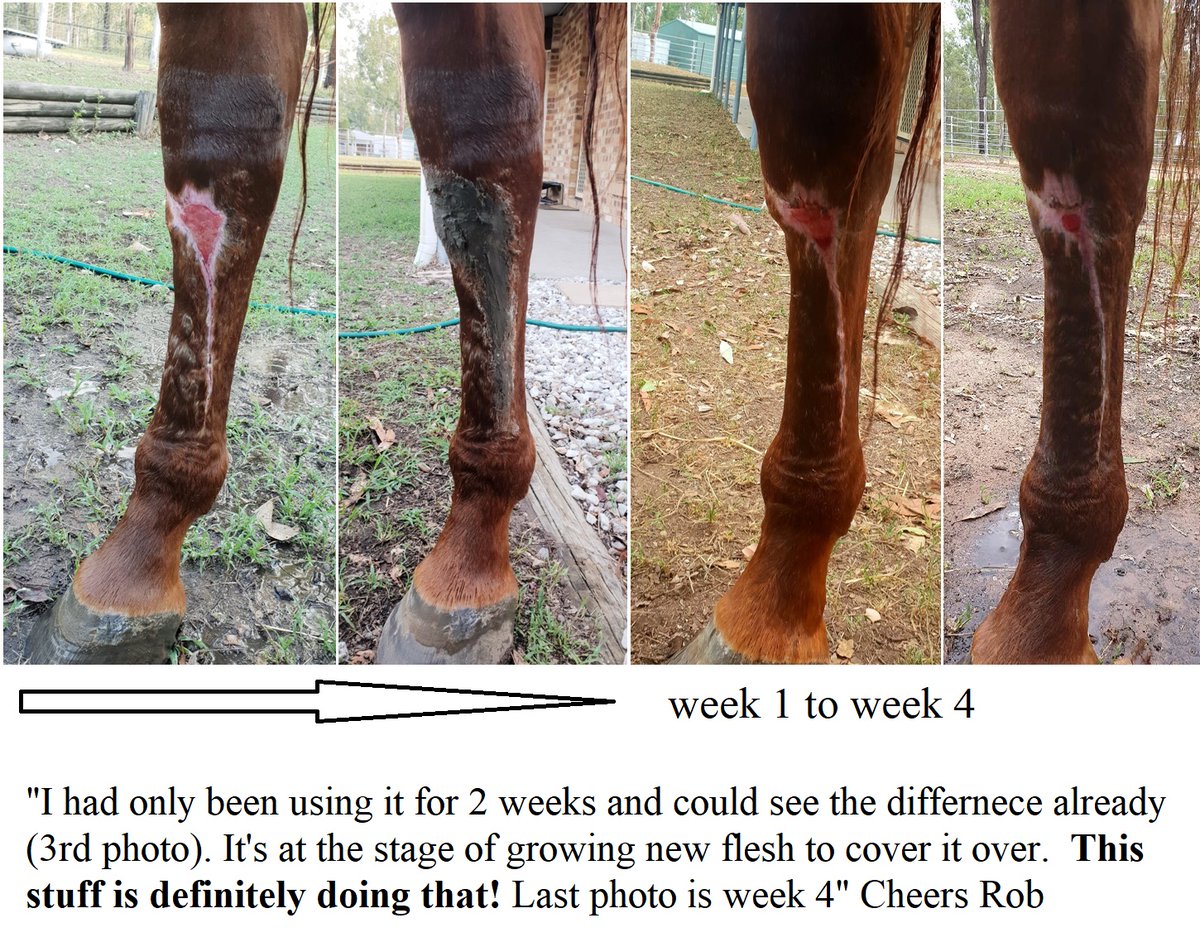 ComfortGutWorld's tweet photo. #EmeraldBalms can be applied in a thin, even layer as necessary to animals with minor scratches, rubs, cuts, abraded or scabbed skin; while soothing for muddy periods, it also has useful fly repellent properties

#petblogshare #comfortgut #ruralbloggers #wildequestrian2 https://t.co/YvE3TAEYRJ