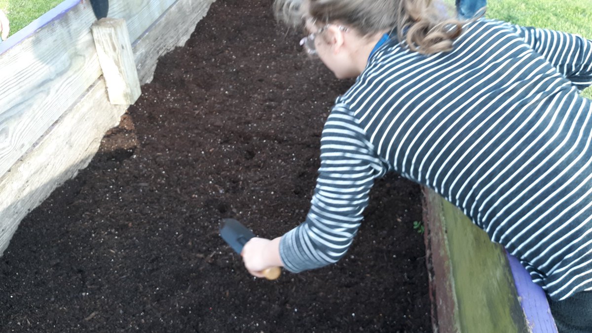 McGowenSci's tweet photo. We put the raised garden bed back together and started preparing the soil! #gradenontheway #mrjhmavs #mrjhscience #environmentalclub https://t.co/8YDLKTUbZQ