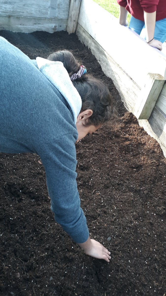 McGowenSci's tweet photo. We put the raised garden bed back together and started preparing the soil! #gradenontheway #mrjhmavs #mrjhscience #environmentalclub https://t.co/8YDLKTUbZQ