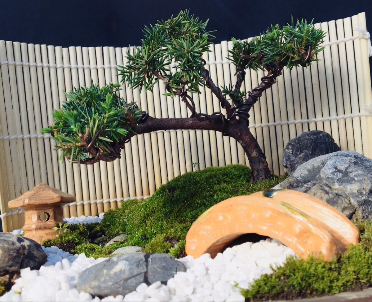 雄飛 Shinsengumi お金持ちでなくても日本庭園は手に出来る 盆栽 ミニ盆栽 和 日本庭園 Bonsai