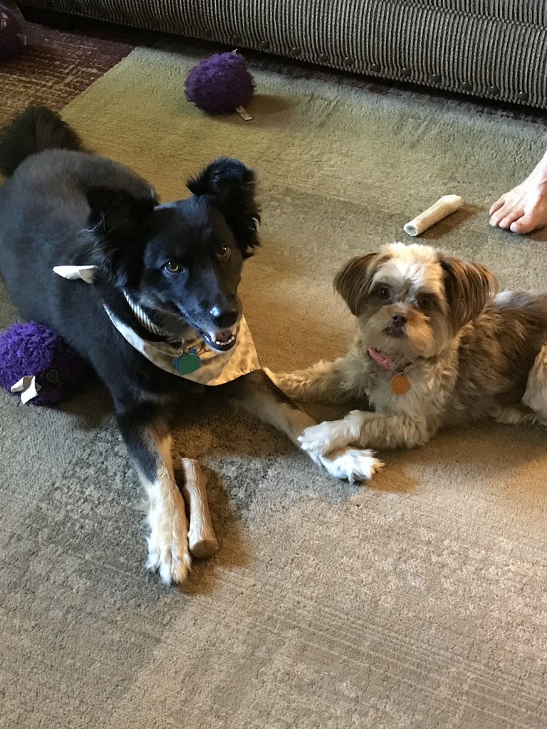 Todd Olmstead tweet media