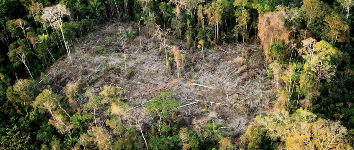 BudgEco's tweet photo. Évitons cela ensemble ! #pollution #desastre Écoutez nos conseils afin de valoriser cette planète qui nous sert du support de vie primordiale. Protégeons la ! #Ecologie #arbre #secheresse ☘️🌳 https://t.co/GDp8n0juJC