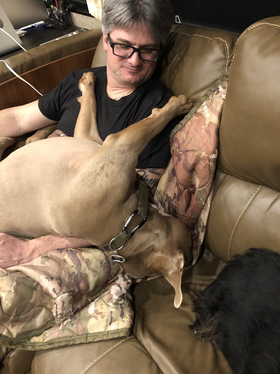 Venzi5Ventura's tweet photo. Frank, doing his impression of a carcass.....
#SoundSleeper https://t.co/tmyivOcTk2