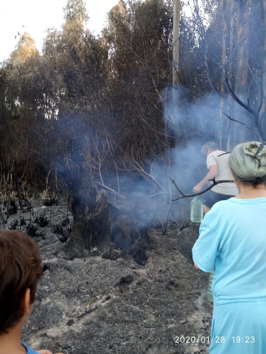 BGuazuvira's tweet photo. #IncendioGuazuvirá A 5 días siguen las secuelas de un incendio 100% evitable. Vecinos controlan la zona afectada y echan agua p/ enfriar. @IdCanelones @caneloneslimpio  @unep_espanol https://t.co/3RkWRQz5vz