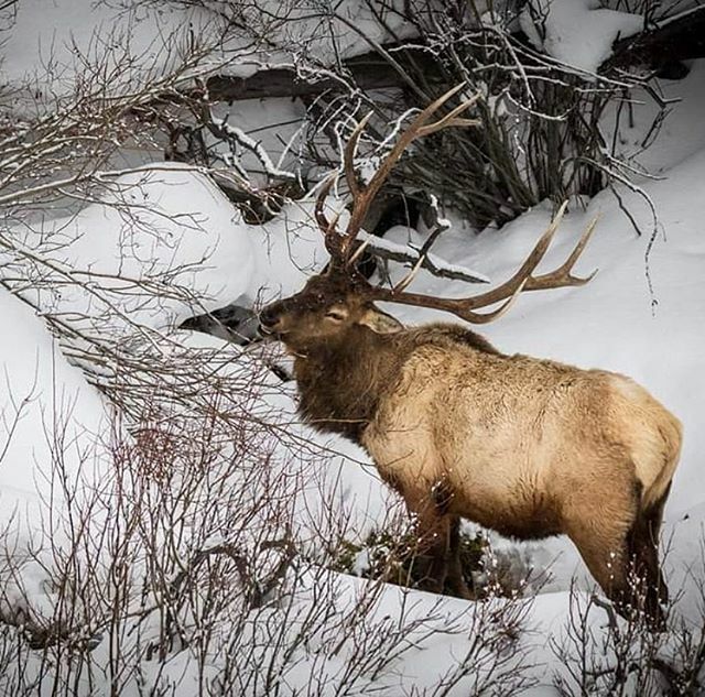 OP/TECH USA tweet media