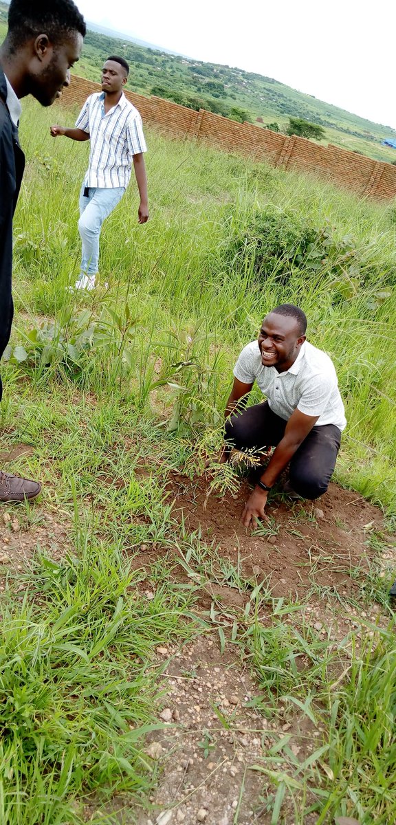 Timothy30129002's tweet photo. Environment plays a bigger role in promoting arts in the society which is also part of  our mission to provide a friendly platform for all artist to showcase their talents and use them to solve social problems such as climate change.thats why today we planted 300 trees.
#Baluso https://t.co/IP5bJBxfsf