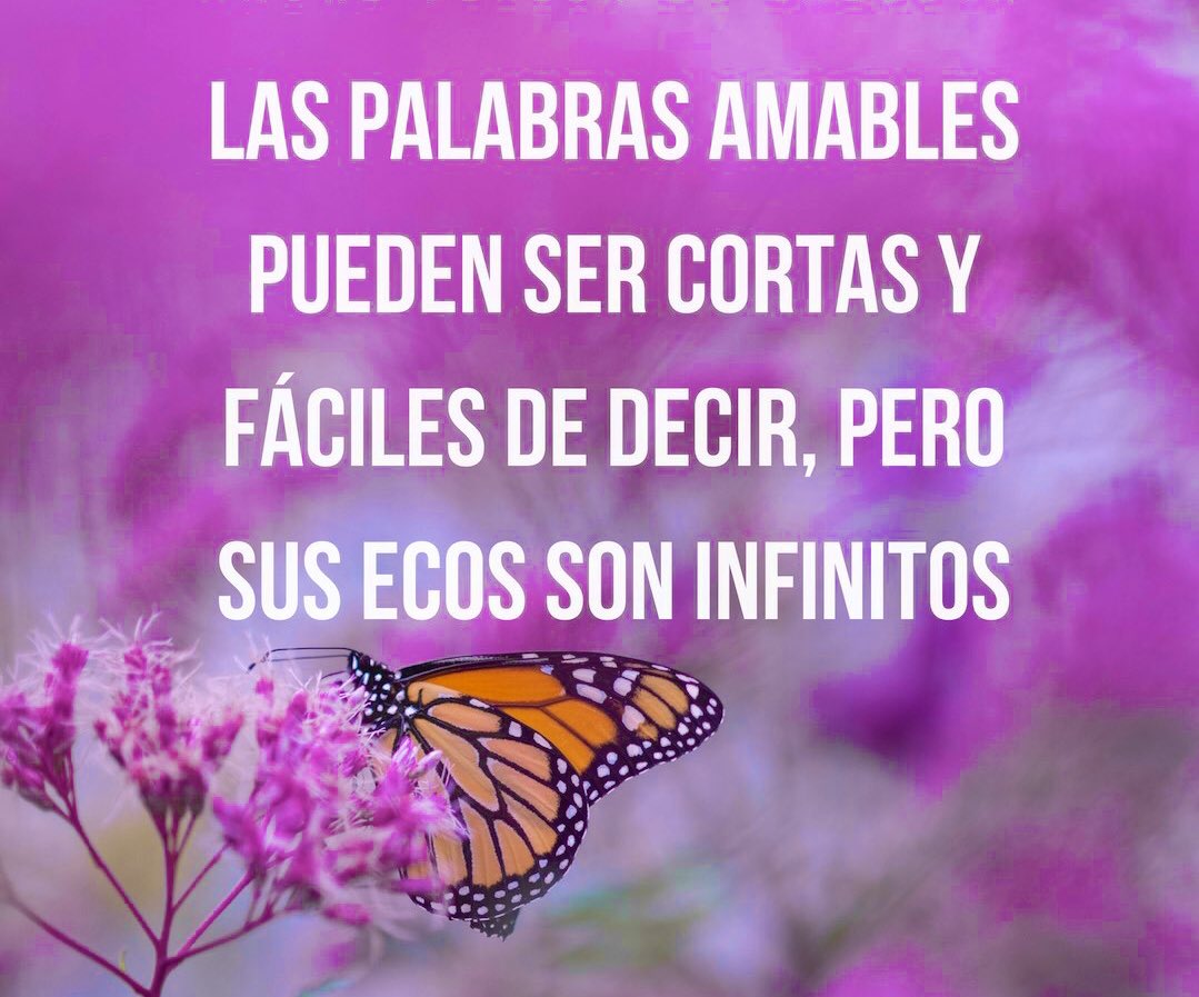 MagnificatLa's tweet photo. ✨✨✨💖💞💖😊🙏🏻🌹📿🌹🙏🏻😊💖💞💖✨✨✨ #FelizMiercoles #BonitaTarde #OrAcción #ViveElEvangelio #amor #bendicionesinfinitas #ora #ViveLaTransformación #OraenFamilia #gratitud #VirgenMagnificat #paz #amorincondicional #luz #generosidad #love #fe https://t.co/HchAooqzJx
