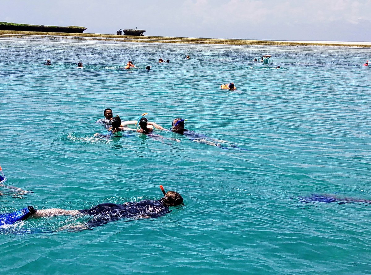 yassinfeisal's tweet photo. Snorkeling is a hobby... travel with me to wasini island and kisite mpunguti marine park every weekend For same experience and dolphins spotting... https://t.co/igOOHeNByj