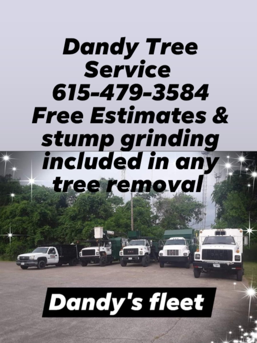 Tree Removal Georgetown Ky