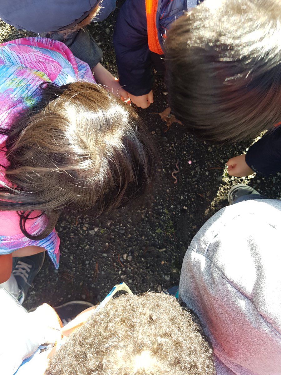 Allison Lau tweet media