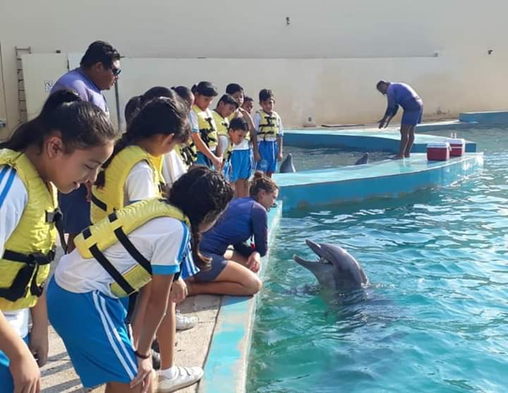 sjspcsol's tweet photo. Más de 32 alumnos de la primaria "Jaime Torres Bodet" aprendieron sobre el cuidado de los océanos, mares y la interacción con delfines, gracias al apoyo entre Dolphinaris y la unidad de Ciudades Educadoras de @sjspcsol 🐬
 #Solidaridad.
#PlayaDelCarmen #ConOrdenYEsperanza.
#4T. https://t.co/yVYQ7lguiR