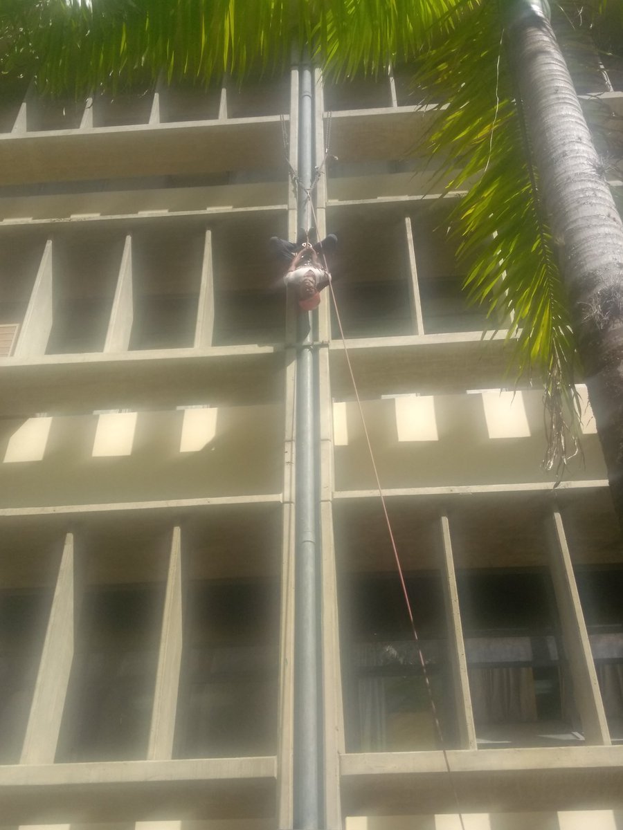 OikosUSB's tweet photo. Hoy nuestros oikeanos montaron escalada urbana, una excelente tarde llena de adrenalina. https://t.co/NT2I01hrwG